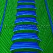 Blue Treads & Green Risers
