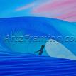 Teahupoo Reverse